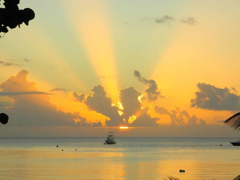 Oualie Beach Resort Nevis Kültér fotó